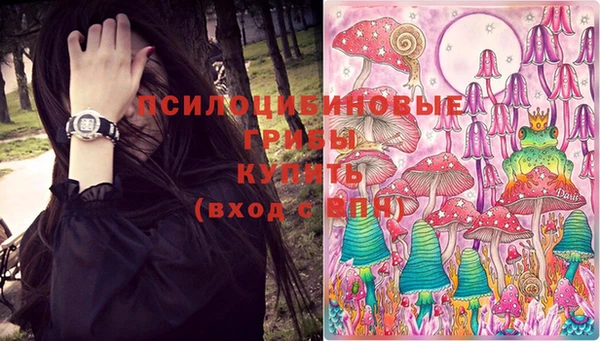apvp Михайловск