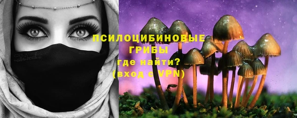 экстази Михайлов