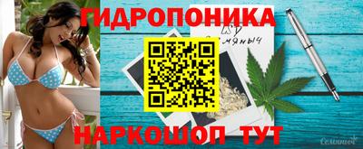 гидра Лесосибирск