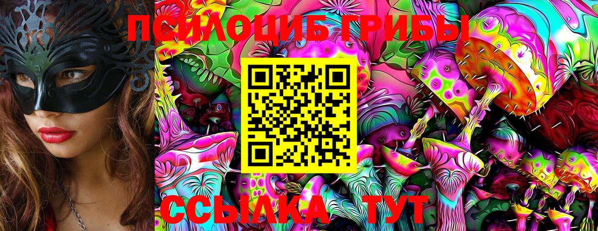 Псилоцибиновые грибы MAGIC MUSHROOMS Черемхово