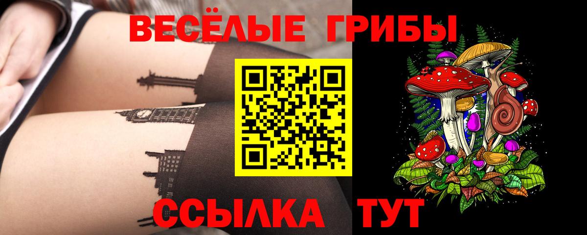 Галлюциногенные грибы Psilocybine cubensis  Галлюциногенные грибы Psilocybe  Черемхово  Вход с VPN 